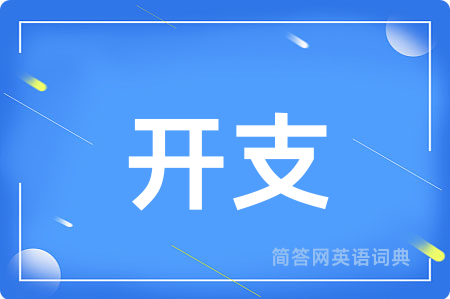 开支用英语怎么说,开支的英语翻译 开支