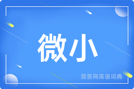 微小