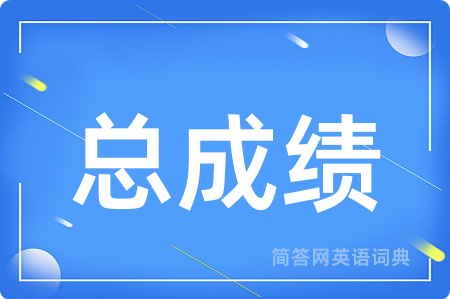 总成绩