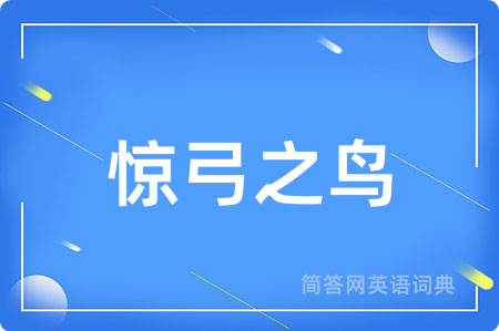 惊弓之鸟