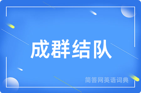 成群结队