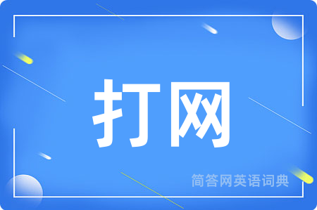 打网