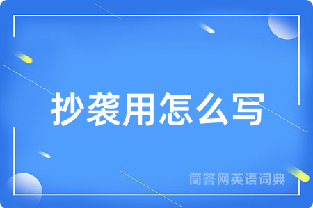 抄袭用怎么写