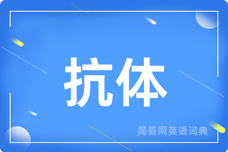 抗体