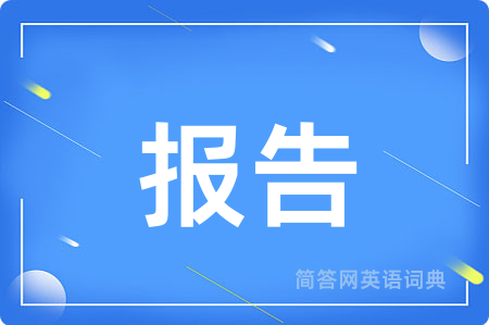 报告