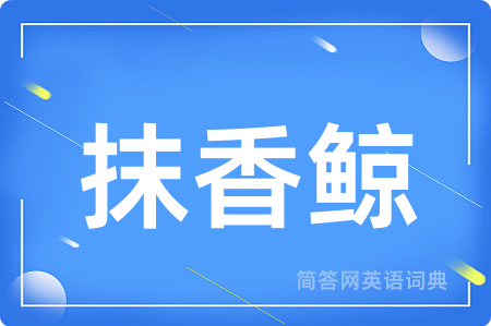 抹香鲸