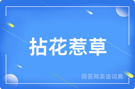 拈花惹草用英语怎么说,拈花惹草的英语翻译 拈花惹草