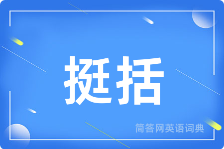 挺括
