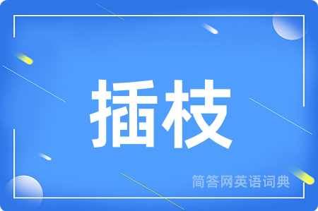 插枝