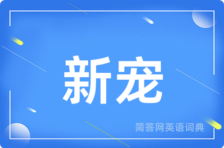 新宠用英语怎么说,新宠的英语翻译 新宠
