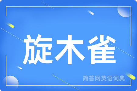 旋木雀