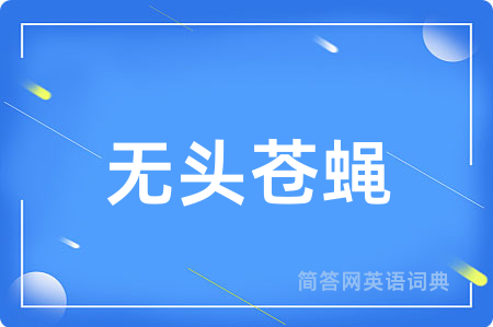 无头苍蝇
