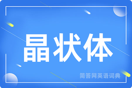 晶状体