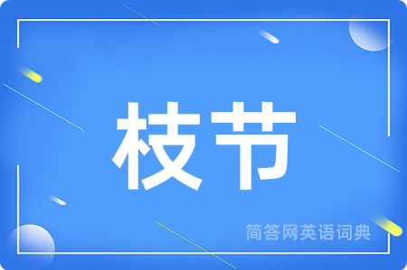 枝节
