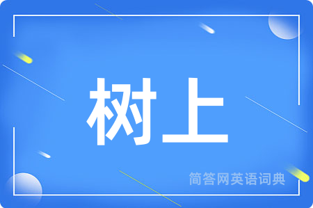 树上
