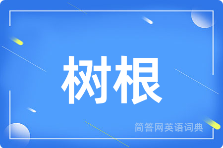 树根