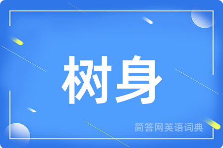 树身用英语怎么说,树身的英语翻译 树身