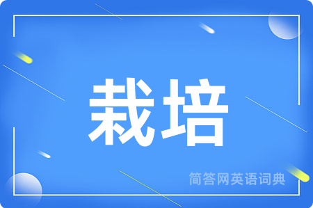 栽培