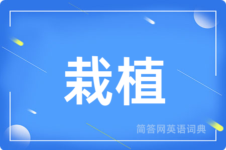 栽植
