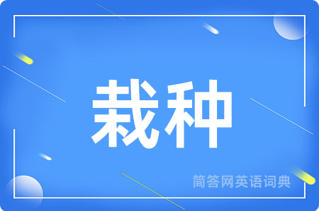 栽种