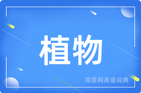 植物用英语怎么说,植物的英语翻译 植物