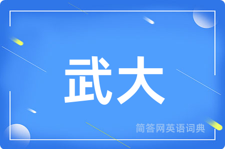 武大用英语怎么说,武大的英语翻译 武大