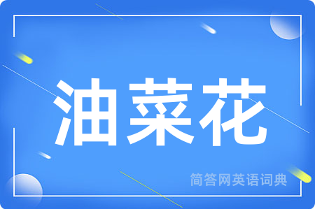 油菜花