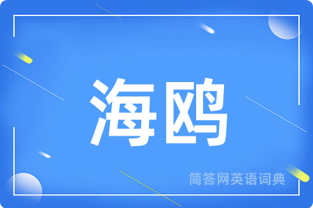 海鸥用英语怎么说,海鸥的英语翻译 海鸥