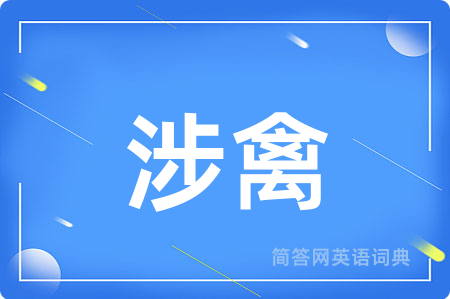 涉禽用英语怎么说,涉禽的英语翻译 涉禽