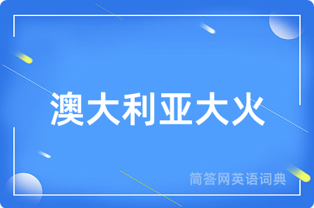 澳大利亚大火