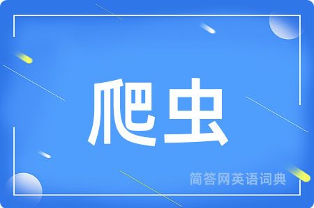 爬虫用英语怎么说,爬虫的英语翻译 爬虫