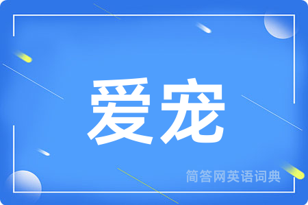 爱宠