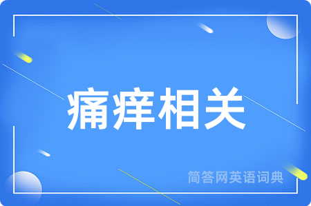 痛痒相关