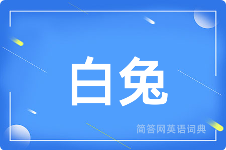 白兔用英语怎么说,白兔的英语翻译 白兔