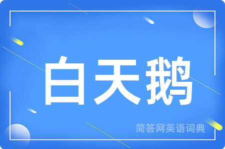 白天鹅