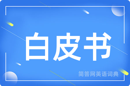 白皮书用英语怎么说,白皮书的英语翻译 白皮书