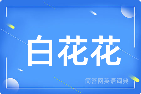 白花花用英语怎么说,白花花的英语翻译 白花花