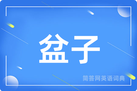 盆子用英语怎么说,盆子的英语翻译 盆子