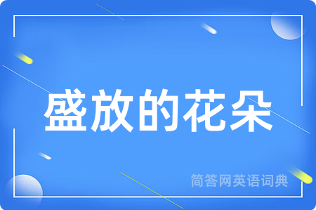 盛放的花朵用英语怎么说,盛放的花朵的英语翻译 盛放的花朵