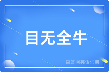 目无全牛