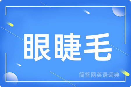眼睫毛用英语怎么说,眼睫毛的英语翻译 眼睫毛