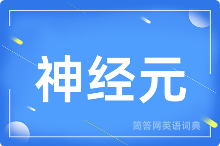 神经元用英语怎么说,神经元的英语翻译 神经元