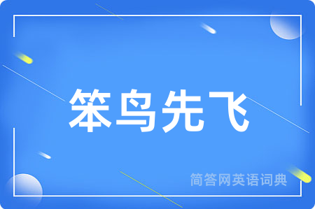 笨鸟先飞