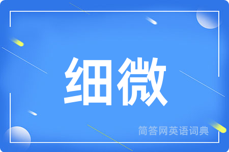 细微
