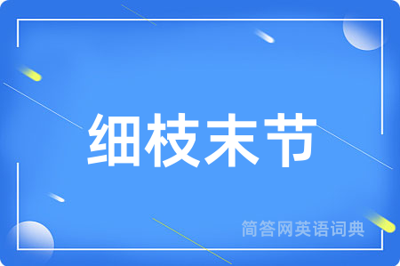细枝末节