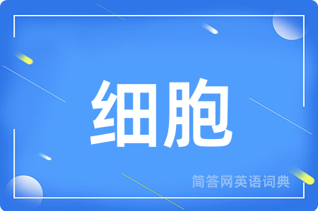 细胞用英语怎么说,细胞的英语翻译 细胞