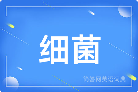 细菌