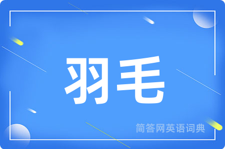 羽毛