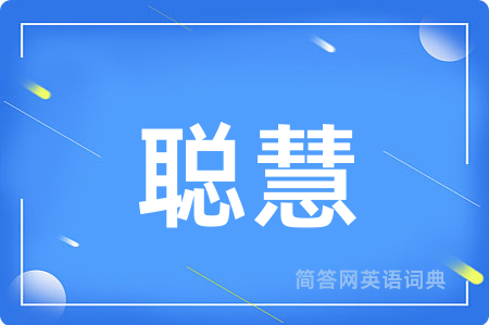 聪慧用英语怎么说,聪慧的英语翻译 聪慧
