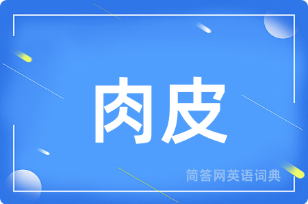 肉皮用英语怎么说,肉皮的英语翻译 肉皮